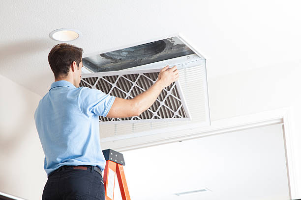 Best Best HVAC Companies  in Naples, UT